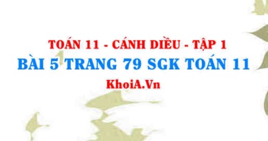 Bài 5 trang 79 SGK Toán 11 tập 1 Cánh Diều